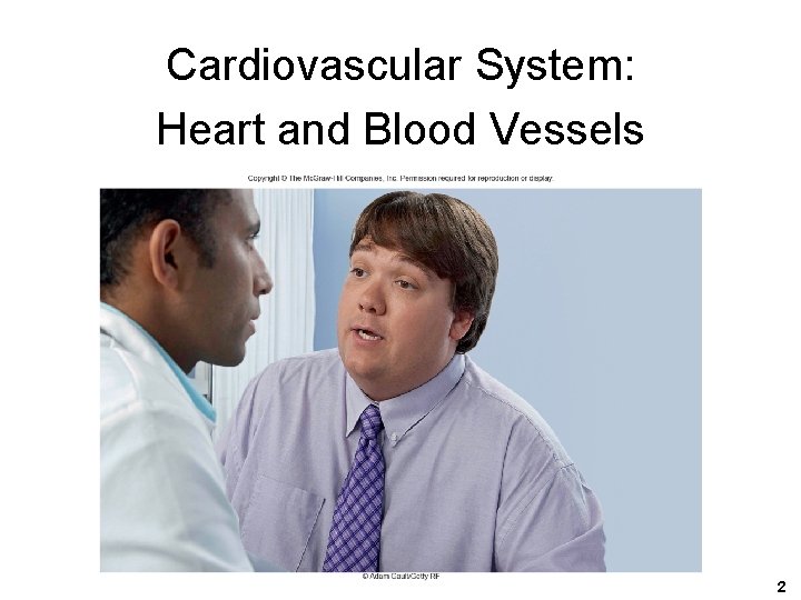 Cardiovascular System: Heart and Blood Vessels 2 