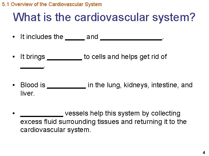 5. 1 Overview of the Cardiovascular System What is the cardiovascular system? • It