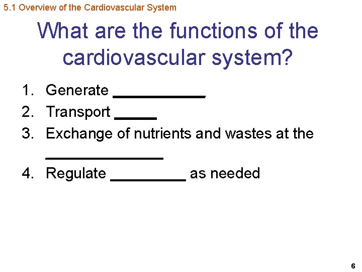 5. 1 Overview of the Cardiovascular System What are the functions of the cardiovascular