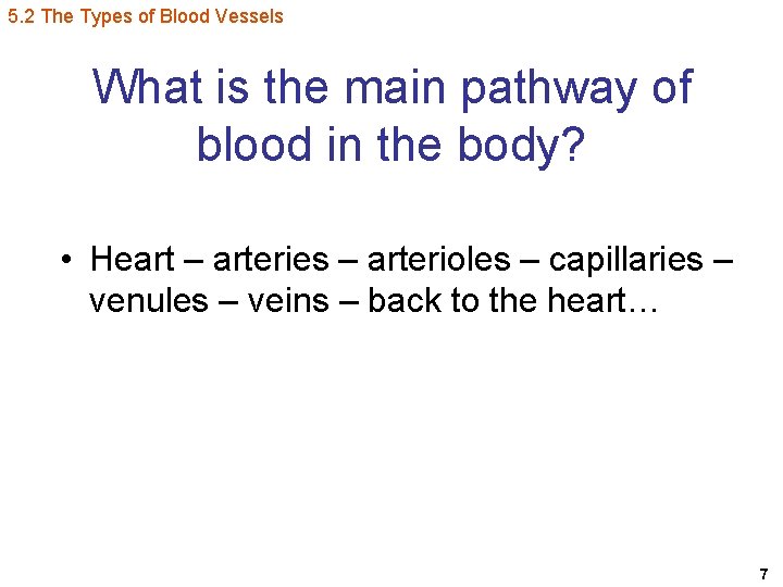 5. 2 The Types of Blood Vessels What is the main pathway of blood