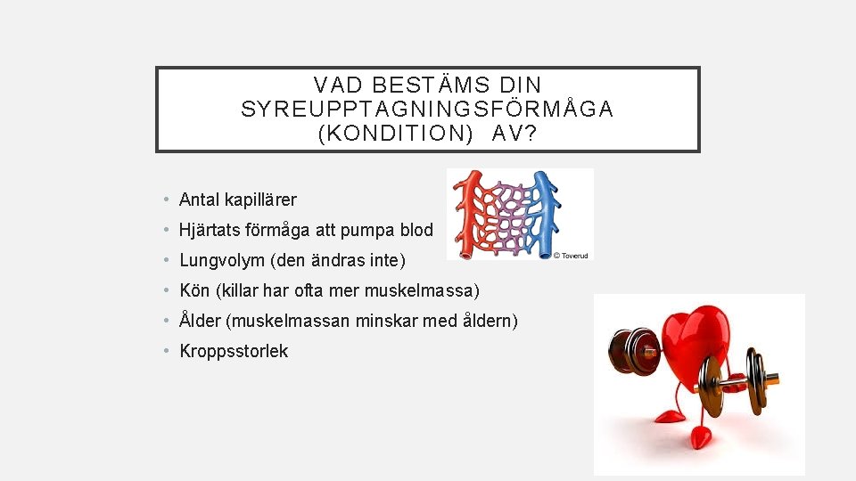 VAD BESTÄMS DIN SYREUPPTAGNINGSFÖRMÅGA (KONDITION) AV? • Antal kapillärer • Hjärtats förmåga att pumpa VAD BESTÄMS DIN SYREUPPTAGNINGSFÖRMÅGA (KONDITION) AV? • Antal kapillärer • Hjärtats förmåga att pumpa