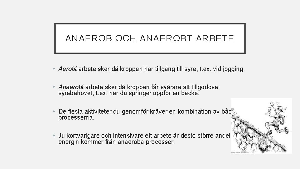 ANAEROB OCH ANAEROBT ARBETE • Aerobt arbete sker då kroppen har tillgång till syre, ANAEROB OCH ANAEROBT ARBETE • Aerobt arbete sker då kroppen har tillgång till syre,