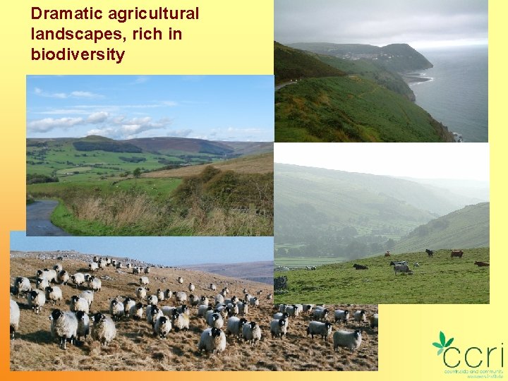 Dramatic agricultural landscapes, rich in biodiversity 