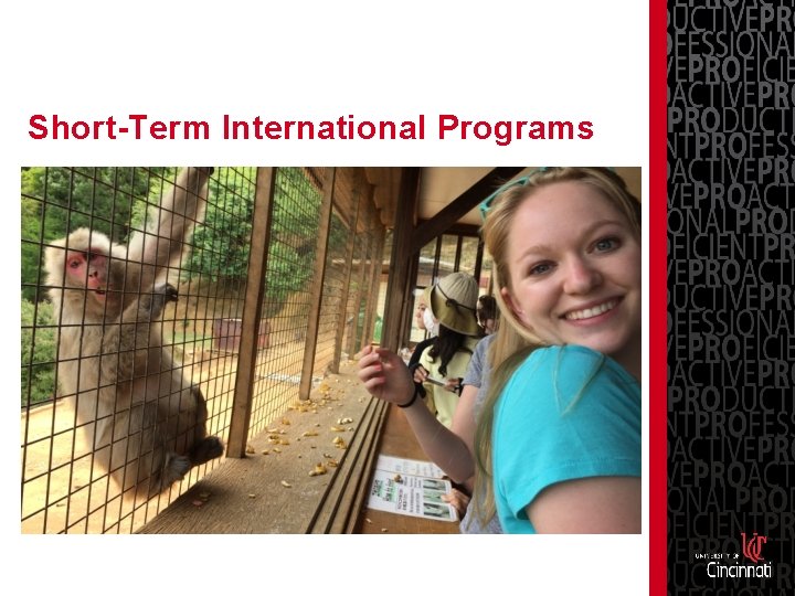 Short-Term International Programs 