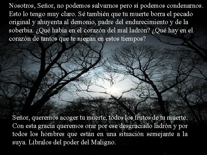 Nosotros, Señor, no podemos salvarnos pero sí podemos condenarnos. Esto lo tengo muy claro.