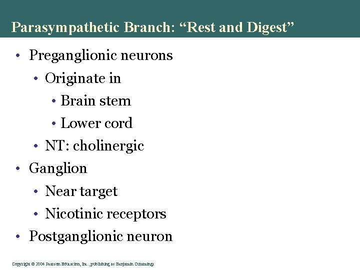 Parasympathetic Branch: “Rest and Digest” • Preganglionic neurons • Originate in • Brain stem Parasympathetic Branch: “Rest and Digest” • Preganglionic neurons • Originate in • Brain stem