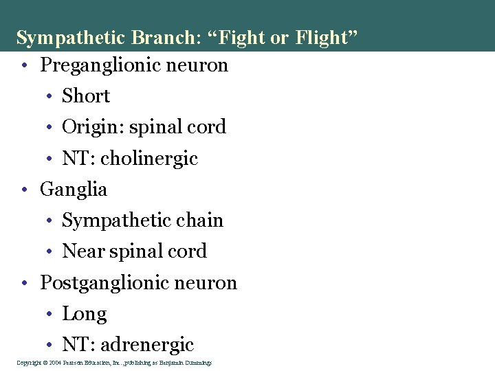 Sympathetic Branch: “Fight or Flight” • Preganglionic neuron • Short • Origin: spinal cord Sympathetic Branch: “Fight or Flight” • Preganglionic neuron • Short • Origin: spinal cord