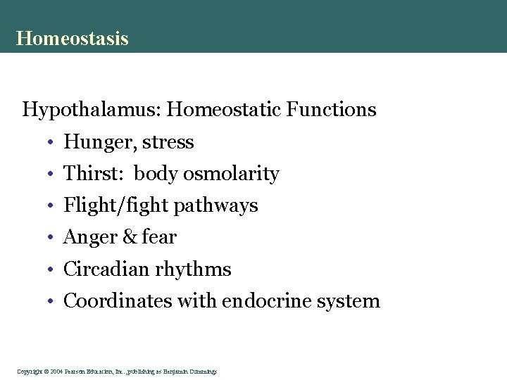 Homeostasis Hypothalamus: Homeostatic Functions • Hunger, stress • Thirst: body osmolarity • Flight/fight pathways Homeostasis Hypothalamus: Homeostatic Functions • Hunger, stress • Thirst: body osmolarity • Flight/fight pathways