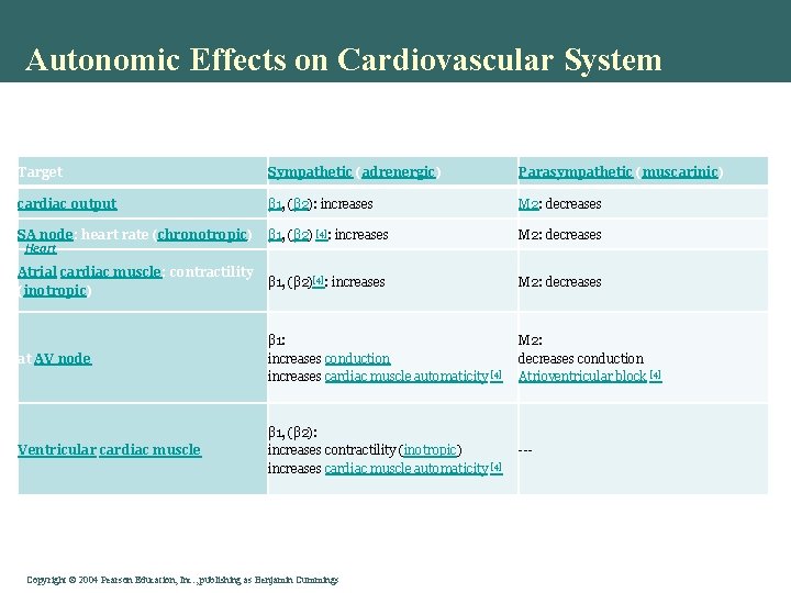 Autonomic Effects on Cardiovascular System Target Sympathetic (adrenergic) Parasympathetic (muscarinic) cardiac output β 1, Autonomic Effects on Cardiovascular System Target Sympathetic (adrenergic) Parasympathetic (muscarinic) cardiac output β 1,