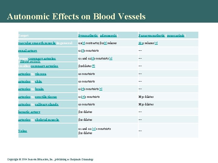 Autonomic Effects on Blood Vessels Target Sympathetic (adrenergic) Parasympathetic (muscarinic) vascular smooth muscle in Autonomic Effects on Blood Vessels Target Sympathetic (adrenergic) Parasympathetic (muscarinic) vascular smooth muscle in