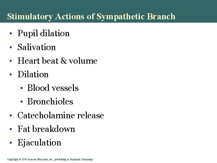 Stimulatory Actions of Sympathetic Branch • Pupil dilation • Salivation • Heart beat & Stimulatory Actions of Sympathetic Branch • Pupil dilation • Salivation • Heart beat &