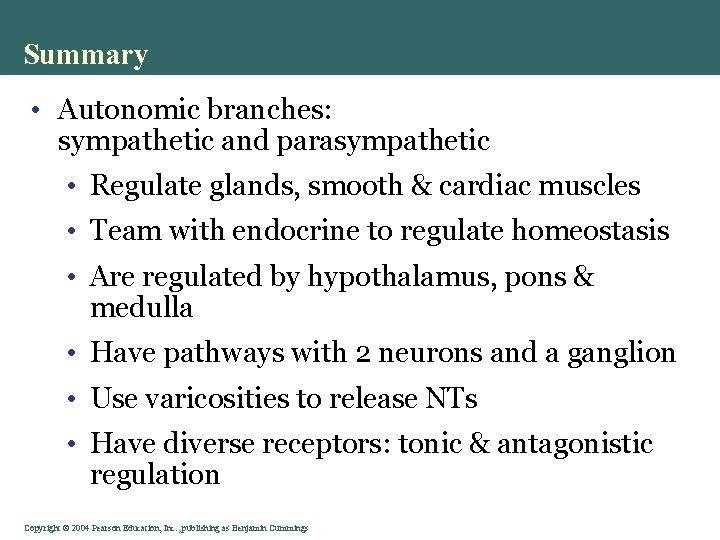 Summary • Autonomic branches: sympathetic and parasympathetic • Regulate glands, smooth & cardiac muscles Summary • Autonomic branches: sympathetic and parasympathetic • Regulate glands, smooth & cardiac muscles