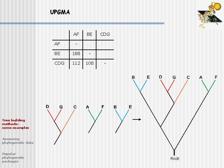 UPGMA AF BE AF - BE 188 - CDG 112 108 CDG - Tree