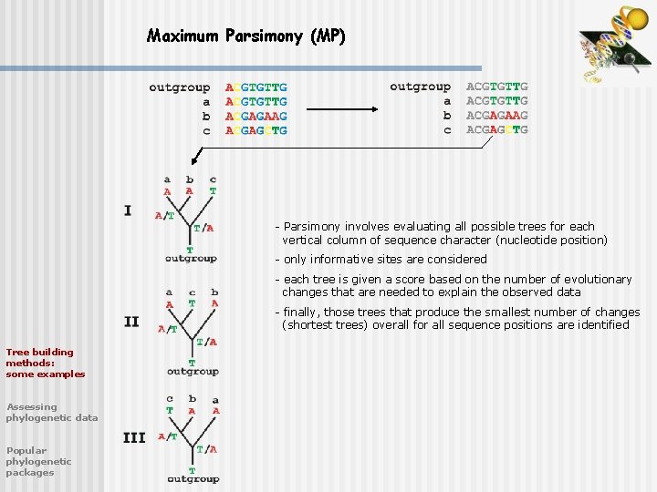 Maximum Parsimony (MP) - Parsimony involves evaluating all possible trees for each vertical column