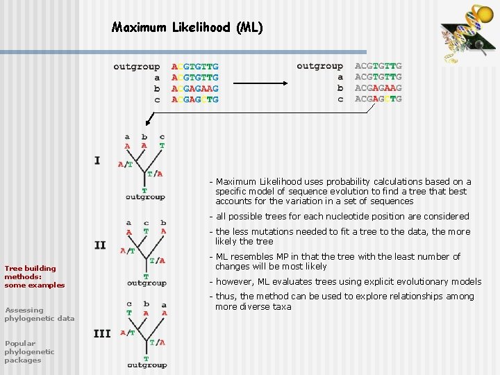 Maximum Likelihood (ML) - Maximum Likelihood uses probability calculations based on a specific model