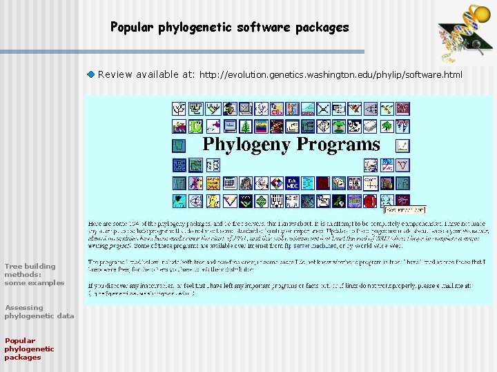 Popular phylogenetic software packages Review available at: http: //evolution. genetics. washington. edu/phylip/software. html Tree