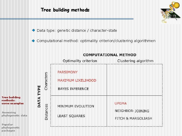 Tree building methods Data type: genetic distance / character-state Computational method: optimality criterion/clustering algorithmen