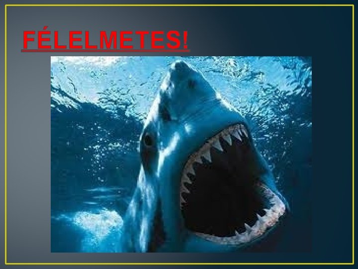 FÉLELMETES! 