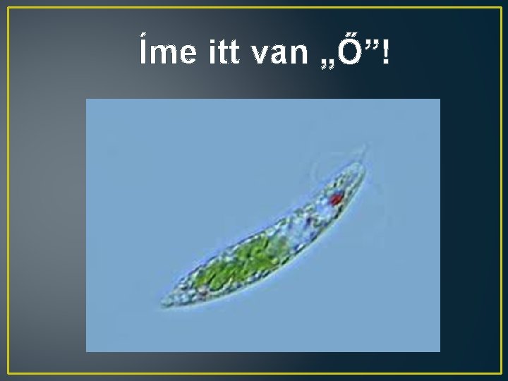 Íme itt van „Ő”! 