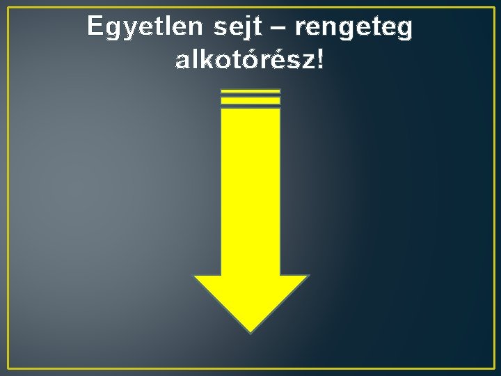 Egyetlen sejt – rengeteg alkotórész! 