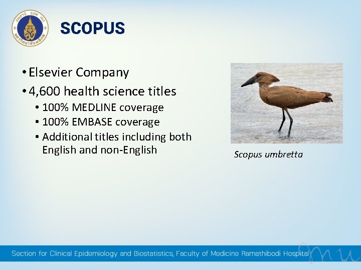 SCOPUS • Elsevier Company • 4, 600 health science titles • 100% MEDLINE coverage SCOPUS • Elsevier Company • 4, 600 health science titles • 100% MEDLINE coverage