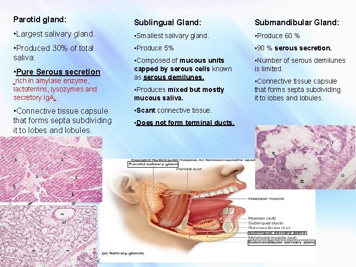 Parotid gland: Sublingual Gland: Submandibular Gland: • Largest salivary gland. • Smallest salivary gland.
