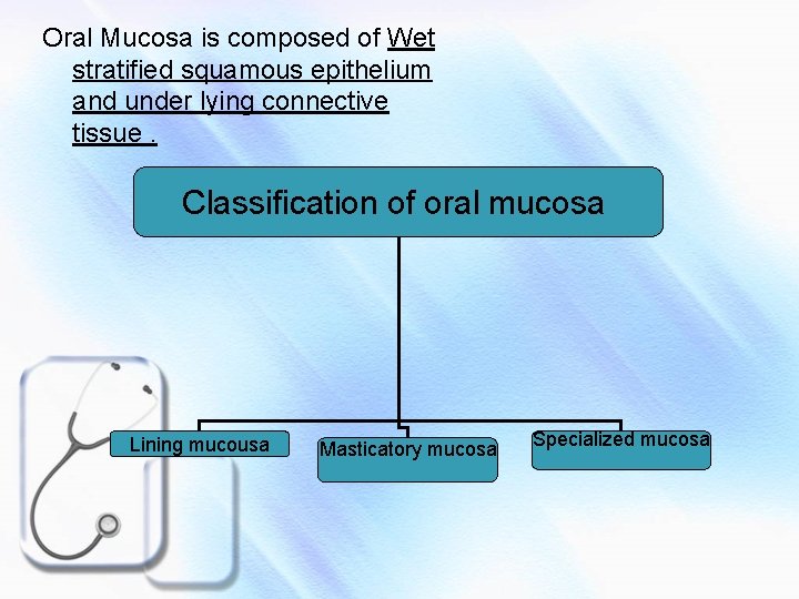 Oral Mucosa is composed of Wet stratified squamous epithelium and under lying connective tissue.