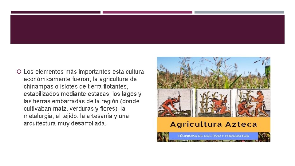  Los elementos más importantes esta cultura económicamente fueron, la agricultura de chinampas o