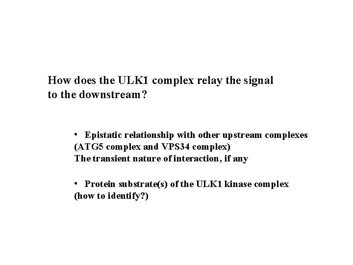 How does the ULK 1 complex relay the signal to the downstream? • Epistatic