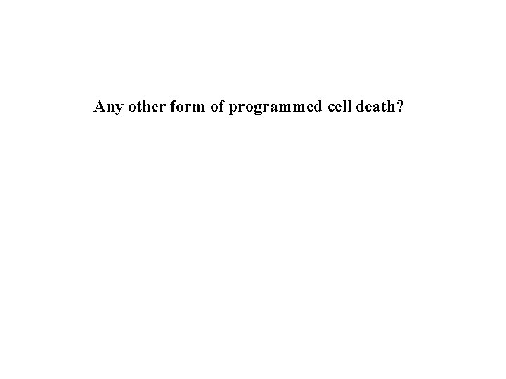 Any other form of programmed cell death? 