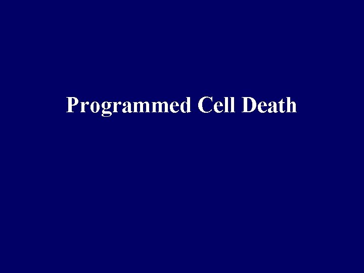 Programmed Cell Death 