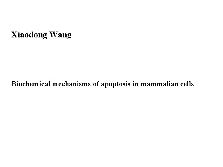 Xiaodong Wang Biochemical mechanisms of apoptosis in mammalian cells 