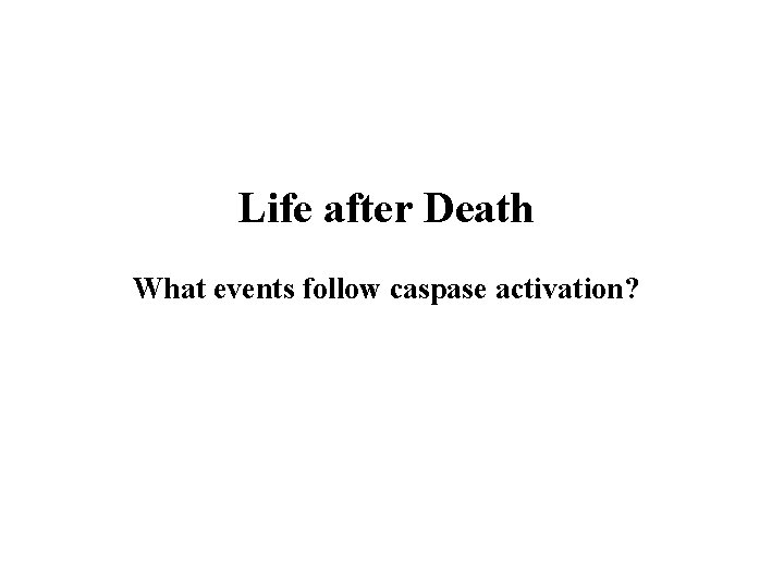 Life after Death What events follow caspase activation? 