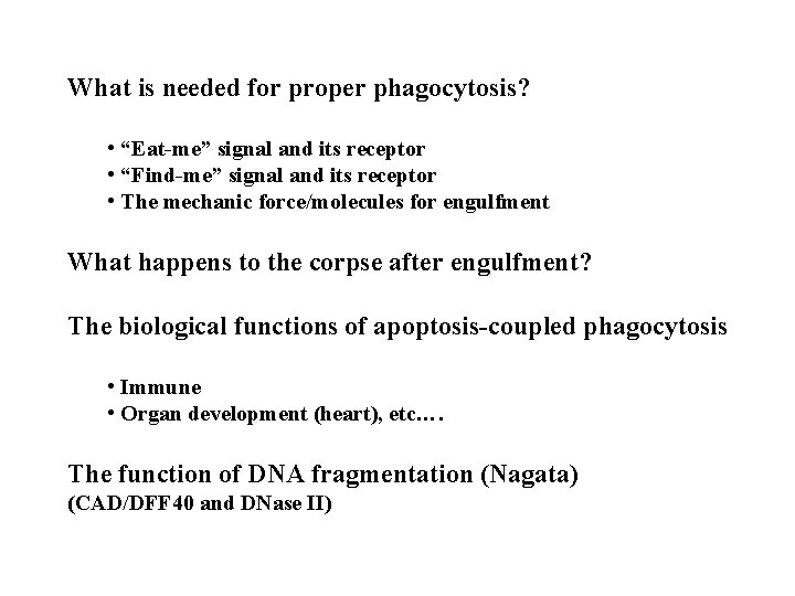 What is needed for proper phagocytosis? • “Eat-me” signal and its receptor • “Find-me”