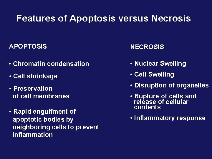 Features of Apoptosis versus Necrosis APOPTOSIS NECROSIS • Chromatin condensation • Nuclear Swelling •