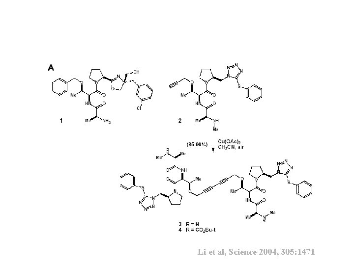 SMAC AVPI Peptide Mimic Synthesis Li et al, Science 2004, 305: 1471 