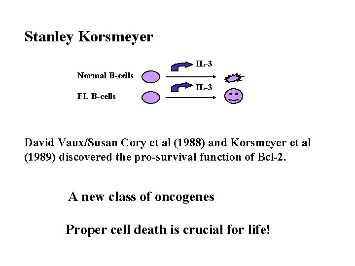 Stanley Korsmeyer IL-3 Normal B-cells FL B-cells IL-3 David Vaux/Susan Cory et al (1988)