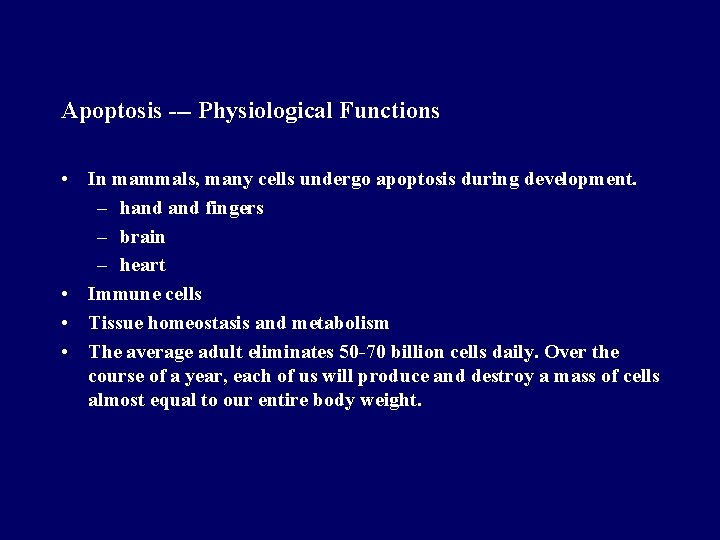Apoptosis --- Physiological Functions • In mammals, many cells undergo apoptosis during development. –