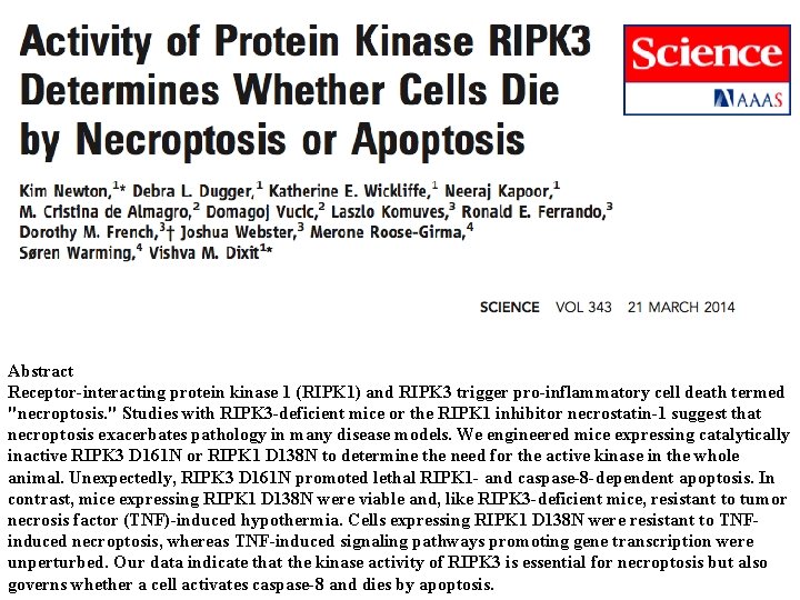 Abstract Receptor-interacting protein kinase 1 (RIPK 1) and RIPK 3 trigger pro-inflammatory cell death