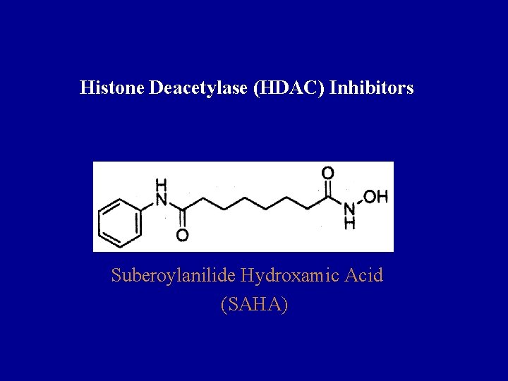 Histone Deacetylase (HDAC) Inhibitors Suberoylanilide Hydroxamic Acid (SAHA) 