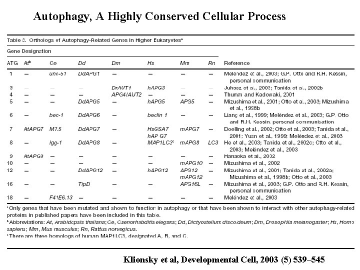 Autophagy, A Highly Conserved Cellular Process Klionsky et al, Developmental Cell, 2003 (5) 539–