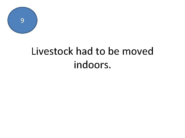 9 Livestock had to be moved indoors. 