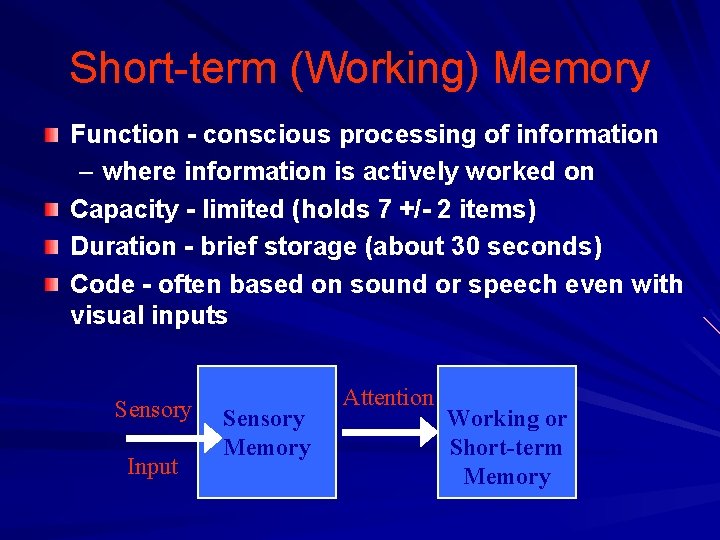 Short-term (Working) Memory Function - conscious processing of information – where information is actively Short-term (Working) Memory Function - conscious processing of information – where information is actively