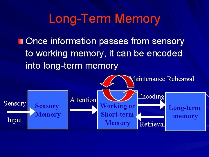 Long-Term Memory Once information passes from sensory to working memory, it can be encoded Long-Term Memory Once information passes from sensory to working memory, it can be encoded