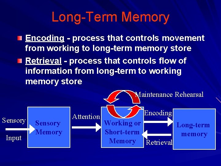 Long-Term Memory Encoding - process that controls movement from working to long-term memory store Long-Term Memory Encoding - process that controls movement from working to long-term memory store