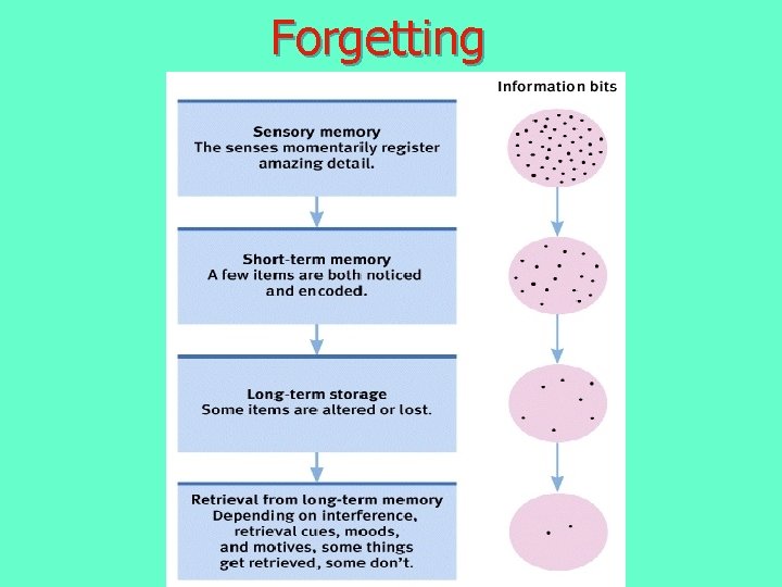 Forgetting Forgetting