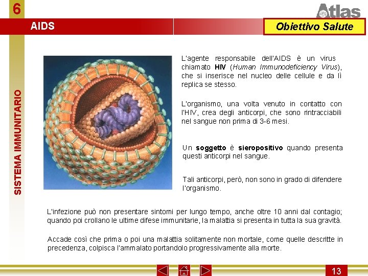 6 AIDS Obiettivo Salute SISTEMA IMMUNITARIO L’agente responsabile dell’AIDS è un virus chiamato HIV