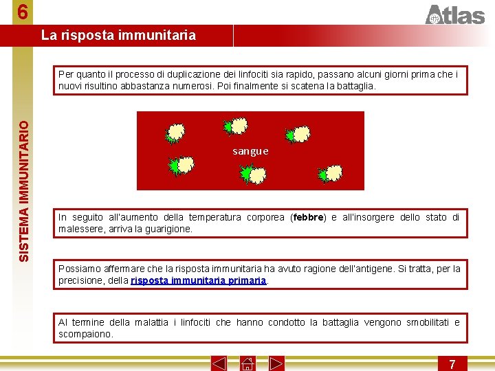 6 La risposta immunitaria SISTEMA IMMUNITARIO Per quanto il processo di duplicazione dei linfociti