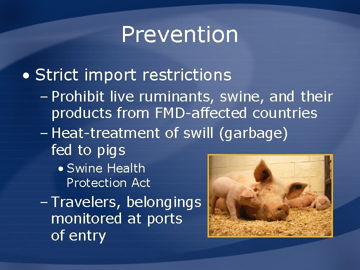Prevention • Strict import restrictions – Prohibit live ruminants, swine, and their products from