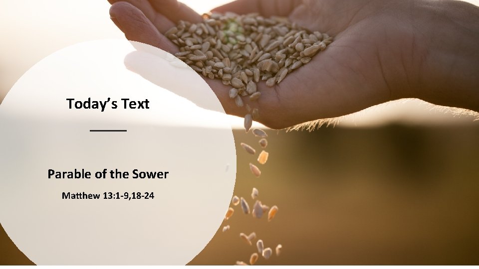 Today’s Text Parable of the Sower Matthew 13: 1 -9, 18 -24 